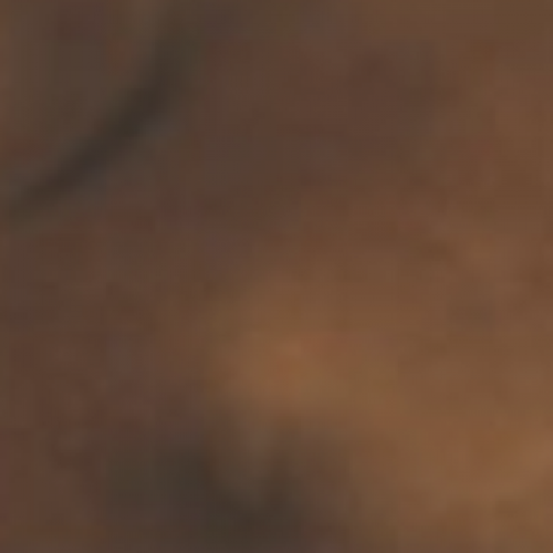 Screenshot 2024-08-22 at 5.31.07 PM